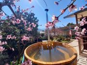 Top OlmuƩ Top OlmuƩ