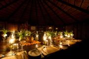 Top Timbavati Game Reserve