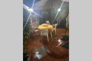 Top Procida Top Procida