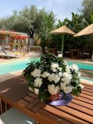 Top Villa San Pietro