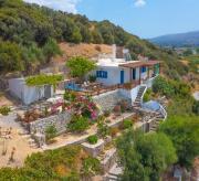 The Rock & The Lemon Tree