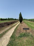 Top Sainte-Christie-dʼArmagnac
