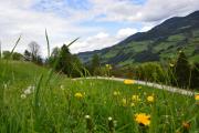 Top Sankt Johann im Pongau