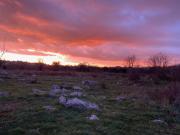 Home Sweet Home traditional Dalmatian house with pool