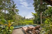Top Ubud