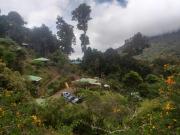 Top San Gerardo de Dota