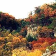 Top South Bloomingville