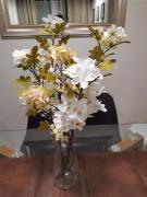 Top Coquimbo Top Coquimbo