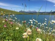 Top Saalbach Hinterglemm