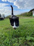 Top Mały Głęboczek Top Mały Głęboczek