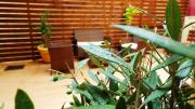 Argo Maisonettes & Suites
