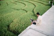 Top Canggu