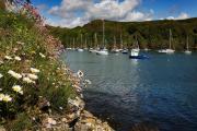 Top Solva