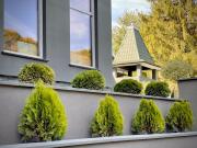 Top Solochin Top Solochin