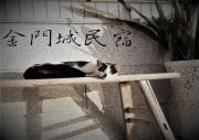 Top Jincheng