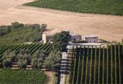 Top Montalcino