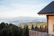 Chalet in Koralpe with Panoramic Views