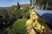 Top Bad Urach