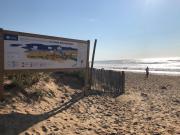 Top LʼÎle-dʼOlonne