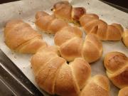 Top Civitanova Marche