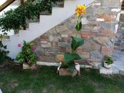 Top Ayios Nikolaos Sithonia