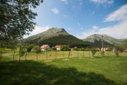 Top Vratnica