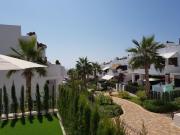 Top San Juan de los Terreros