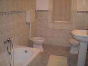 Top Paceco Top Paceco