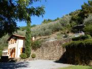 Top Capannori
