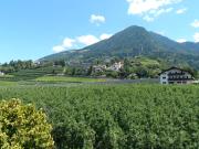 Top Merano