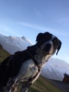 Top Engelberg