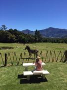Franschhoek Country Cottages