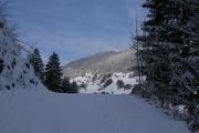 Top Silbertal