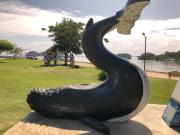 Top Santa Bárbara de Samaná