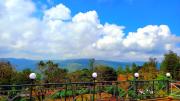 Top Panchgani