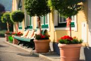 Top Kuchl