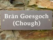 Bran Goesgoch Bran Goesgoch