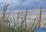 Top Sankt Peter-Ording