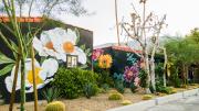 Top Palm Springs