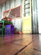 Top Santiago Top Santiago