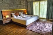 Top Wayanad