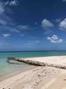 Top Chuburná Top Chuburná