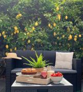 Top Riomaggiore Top Riomaggiore