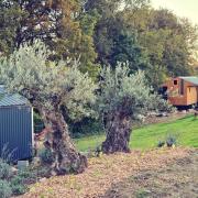 Le monde dEchozellia