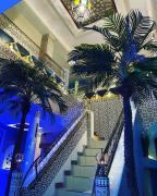 Top Saint-Étienne-au-Mont