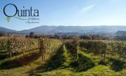 Quinta De Vila Nova - Agroturismo