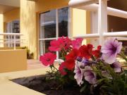 Top Villa Gesell