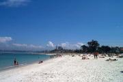 Top Vigo