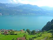 Top Gersau Top Gersau