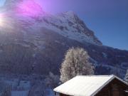 Top Grindelwald